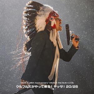 WHAT A WONDERFUL WORLD([LIVE] OSAKAウルフルカーニバル ウルフルズがやって来る！ ヤッサ！20/25 at 大阪・万博記念公園もみじ川芝生広場 2025.05.24)