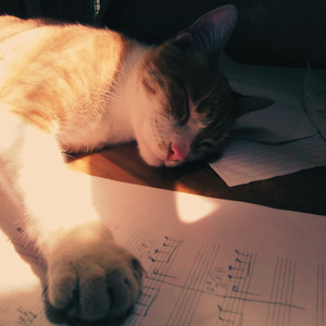 Trópicos (Instrumental)