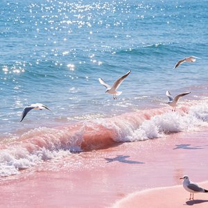 初夏の海边