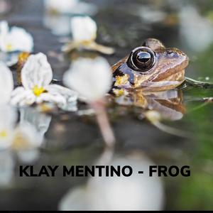 frog (Extended Mix)