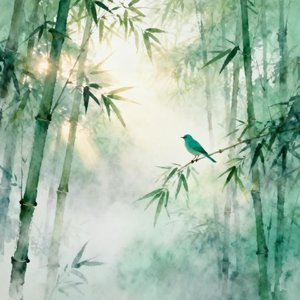 青山听风