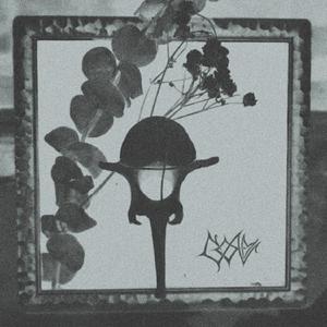 An Altered Perception of Time