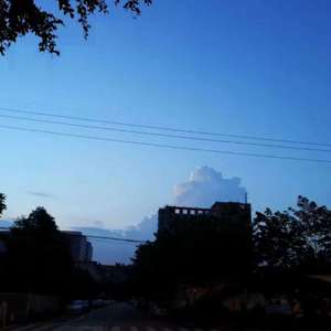 Fish（Prod.by SAXON）