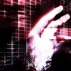 good morning, sunshine!