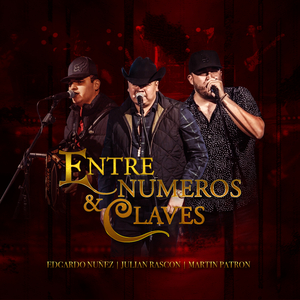 Entre Numeros y Claves (En Vivo)
