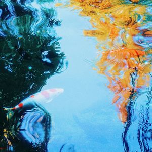 夢里 脫離了黑暗