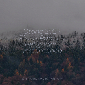 Melodía Besada por la Escarcha