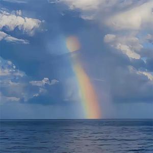 Debussy’s Dolphins