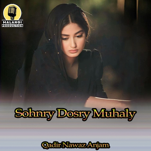 Sohnry Dosry Muhaly (1)