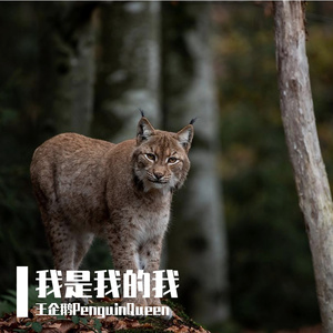 我是我的我 (Prod.by BECU BEATZ)