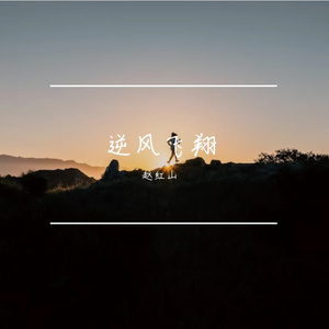 《逆风飞翔》