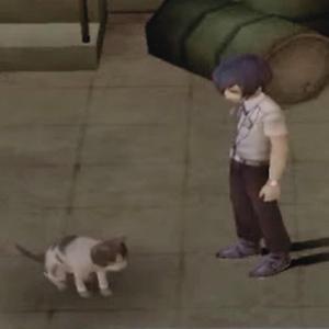 Disturbing The Peace