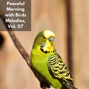 Ambient Ocean and Bird Sound