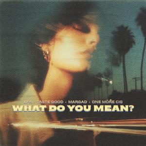 What Do You Mean?