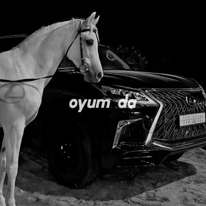 oyum Da（Original Mix）