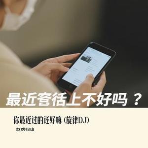 你最近过的还好嘛 (旋律DJ)（Cover DJ.SmartD）