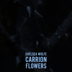 Carrion Flowers