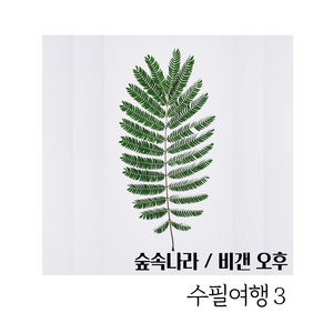 비갠 오후