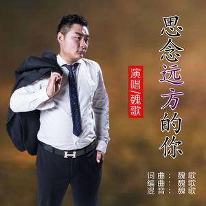思念远方的你 (伴奏)