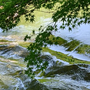 玻璃裂痕的心事