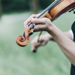 Canon in D Violin Loop (Cover)