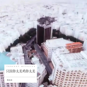只因你太美鸡你太美