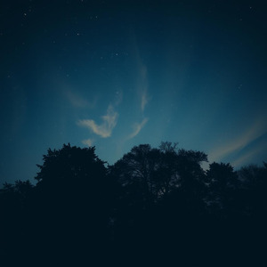 そらのうえのこだま