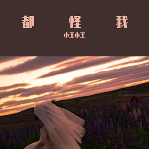 都怪我(翻自：胡66)（翻自 胡66）