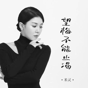 望梅不能止渴 (DJ默涵版)