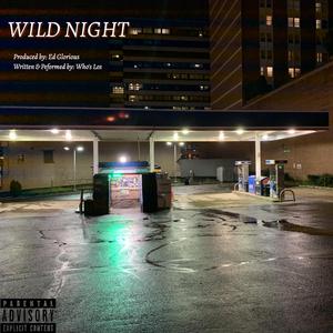 Wild Night