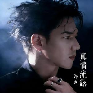 真情流露(R&B版)