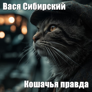 Ты оказался псом