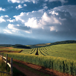 उद्या उगवेल पुन्हा