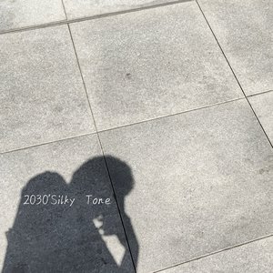 2030'Silky