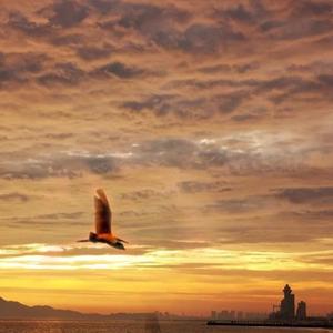 有多少爱可以重来