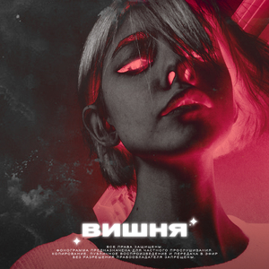 Вишня