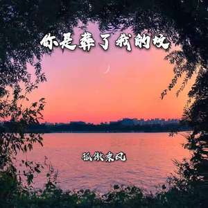 你是葬了我的坟