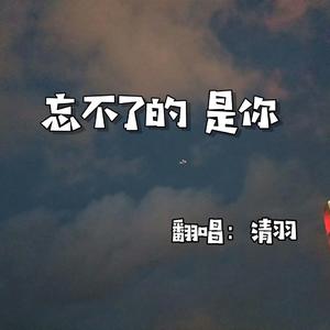 忘不了的是你