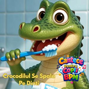 Crocodilul Se Spala Pe Dinti