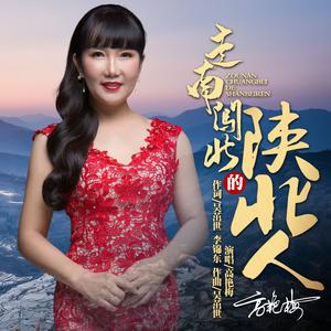 走南闯北的陕北人 (DJ版)