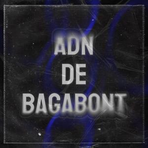 ADN de bagabont