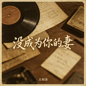 没成为你的妻