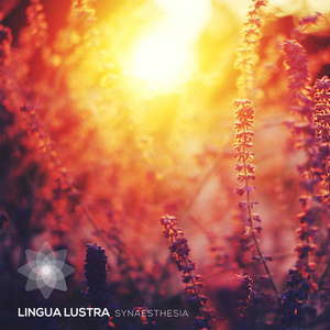 Sine Wings pt. 9 (Album Version)