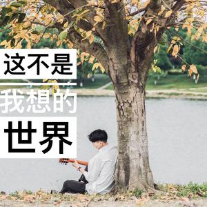 这不是我想的世界demo