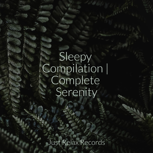 Dreaming with the Stars