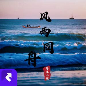 风雨同舟（DJ2024年团结版）