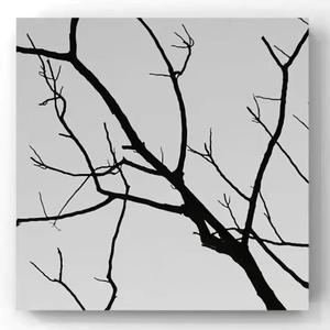 人像树（Yn1Jasper)