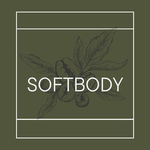 Soft Body