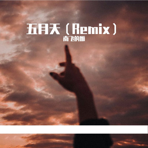 火鸡 / Dj Alien-火鸡Remix （南飞的雁 remix）