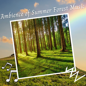 Ambience of Summer Forest Music - 2 Hours